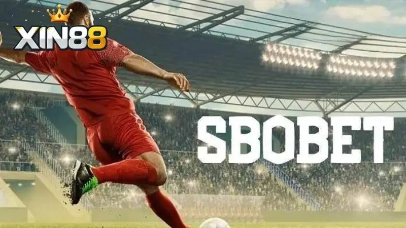 SBOBET Xin88 có tỷ lệ châu Á chuẩn, cập nhật sớm